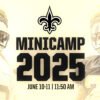 New Orleans Saints Mini Camp June 10 and 11